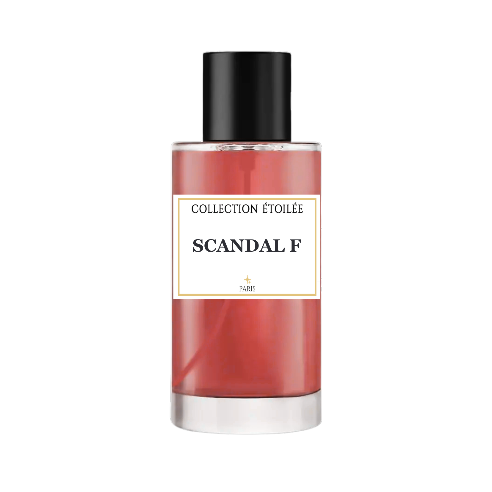 Scandale Femme – COLLECTION ÉTOILÉE