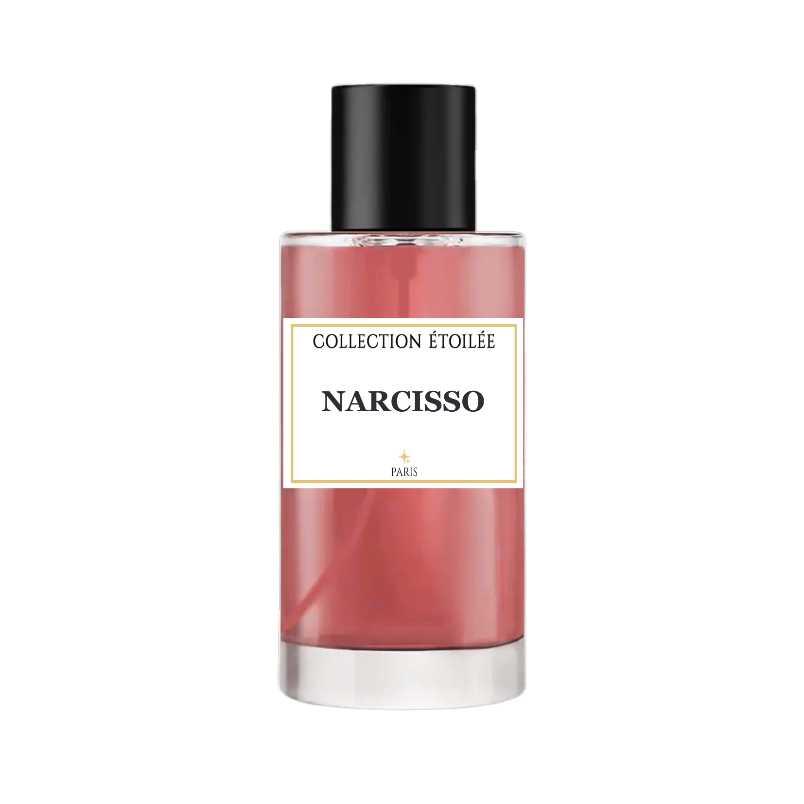 Narcisso – COLLECTION ÉTOILÉE